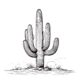 Empty state illustration